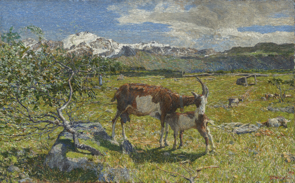 Visites contées